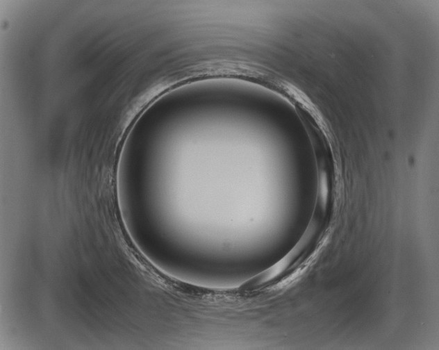 X0000086331089200703301224
