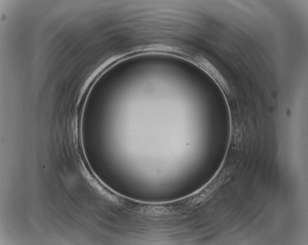X0000086331092200703301224