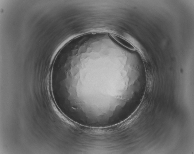 X0000086331100200703301223