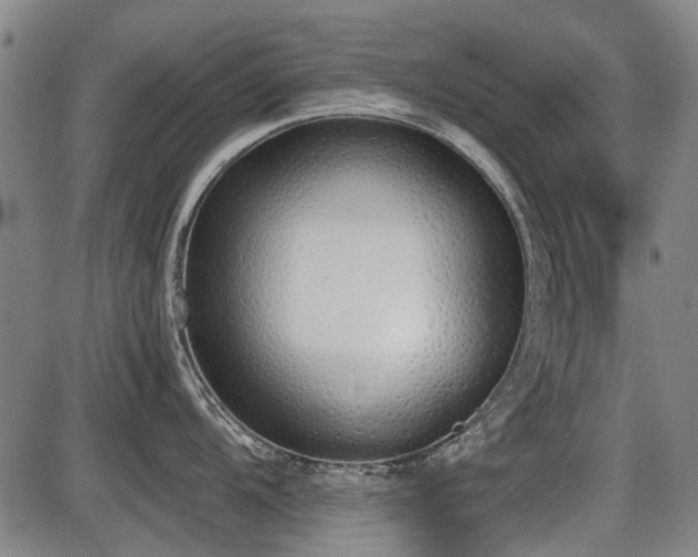 X0000086331104200703301223