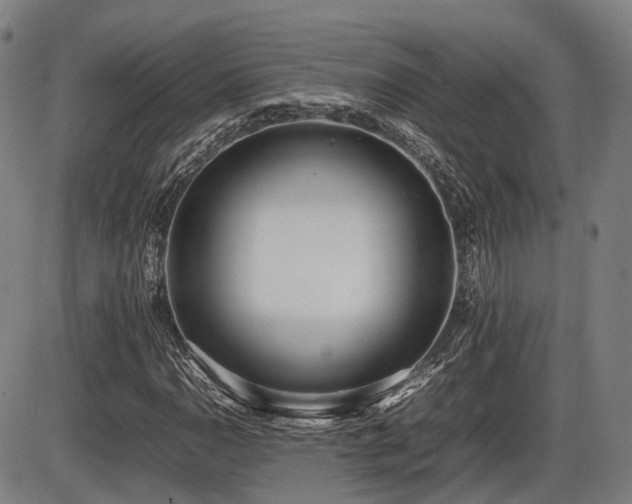 X0000086331110200703301223