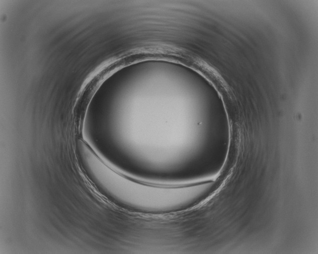 X0000086331114200703301223