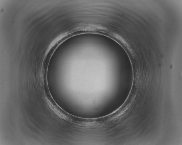 X0000086331122200703301223