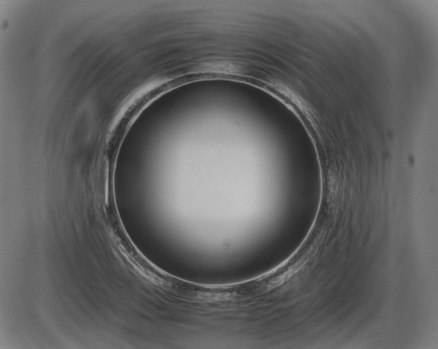 X0000086331123200703301223