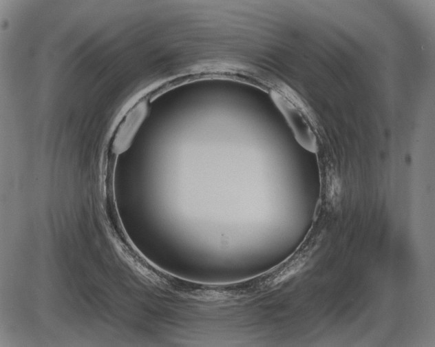 X0000086331124200703301223