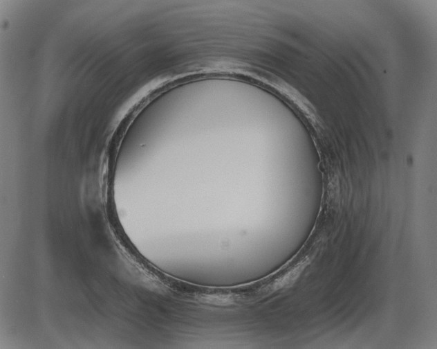 X0000086331126200703301223