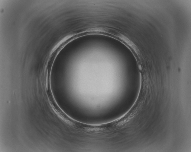 X0000086331127200703301223
