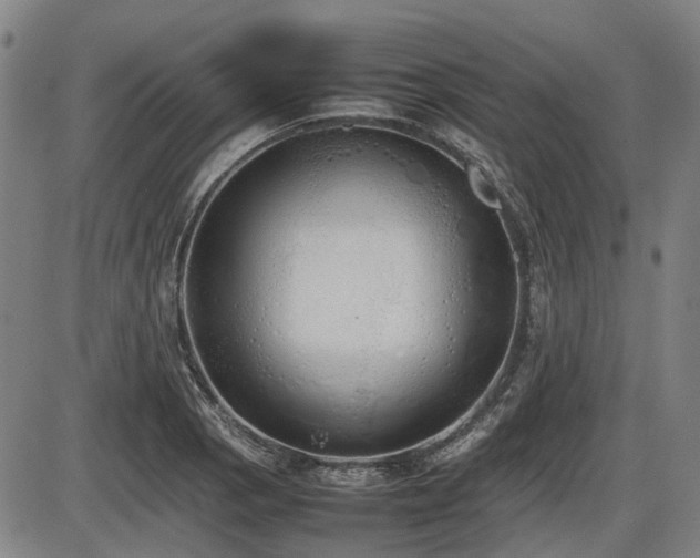 X0000086331129200703301223