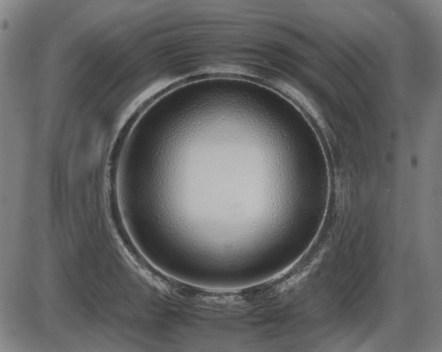 X0000086331133200703301223