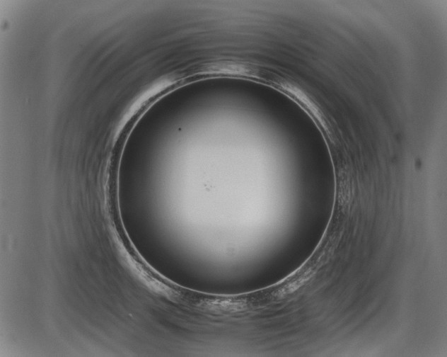 X0000086331139200703301223