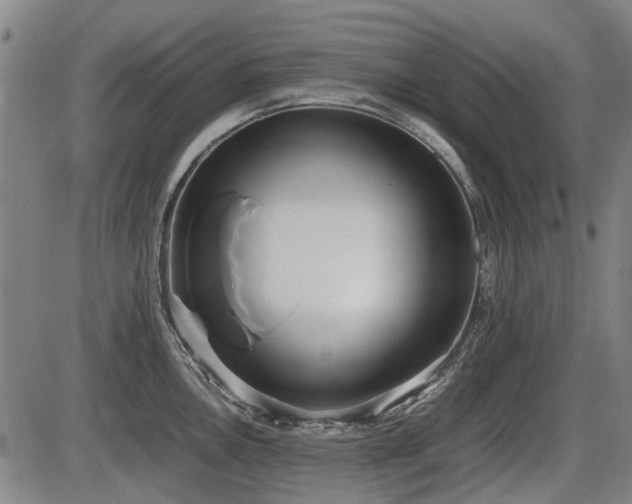 X0000086331146200703301223