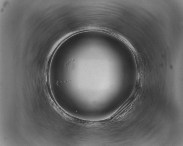 X0000086331148200703301223