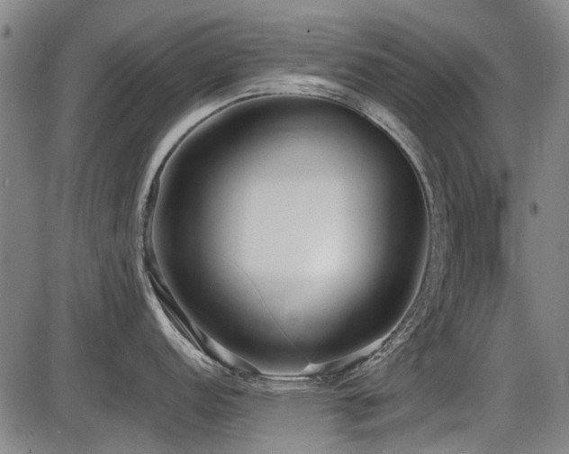 X0000086331152200703301223