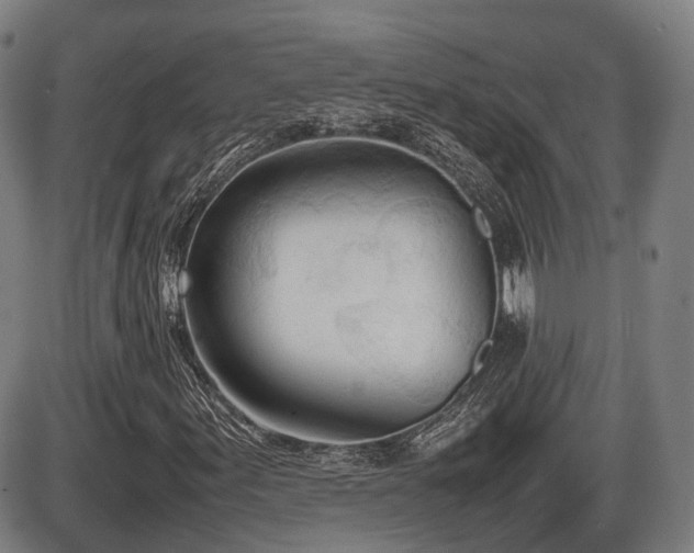 X0000086331155200703301222
