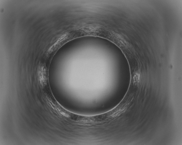 X0000086331156200703301222