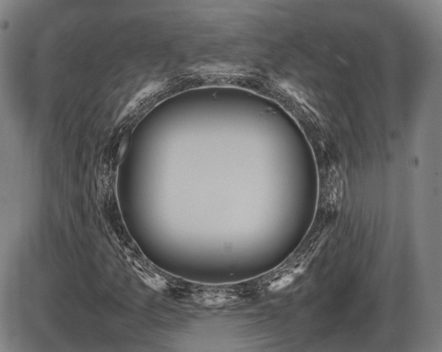 X0000086331157200703301222