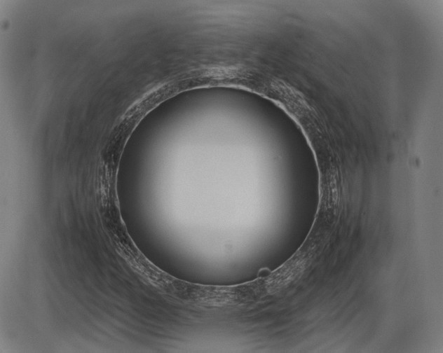 X0000086331158200703301222