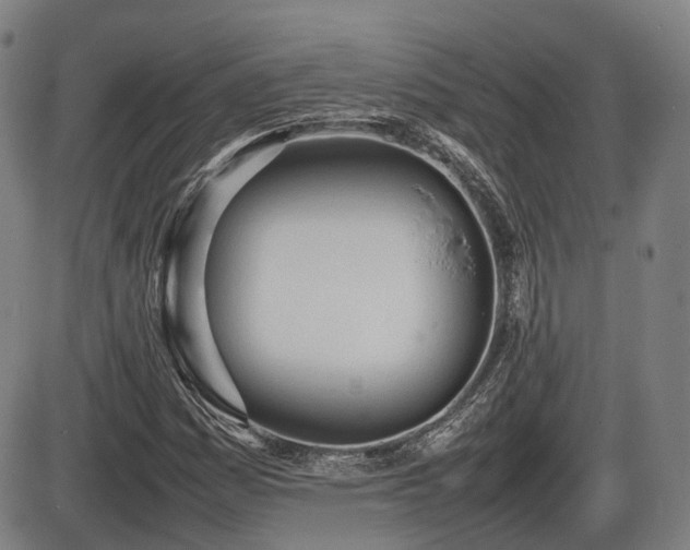 X0000086331161200703301222