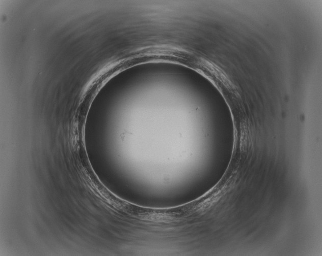 X0000086331164200703301222