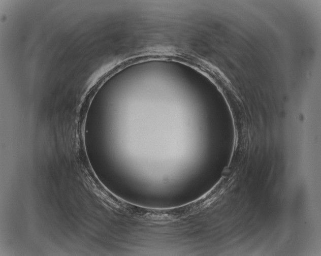 X0000086331168200703301222