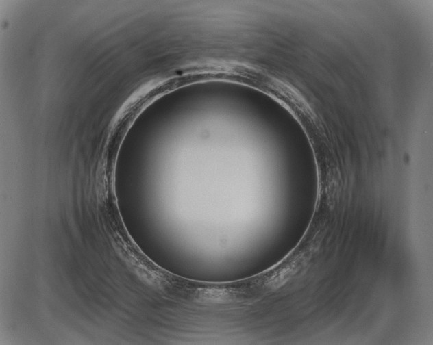 X0000086331172200703301222