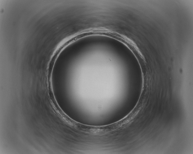 X0000086331176200703301222