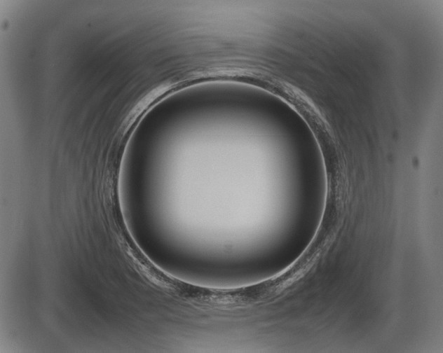 X0000086331177200703301222