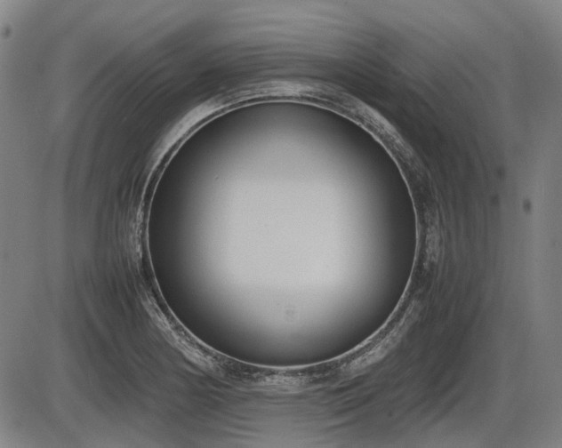 X0000086331178200703301222