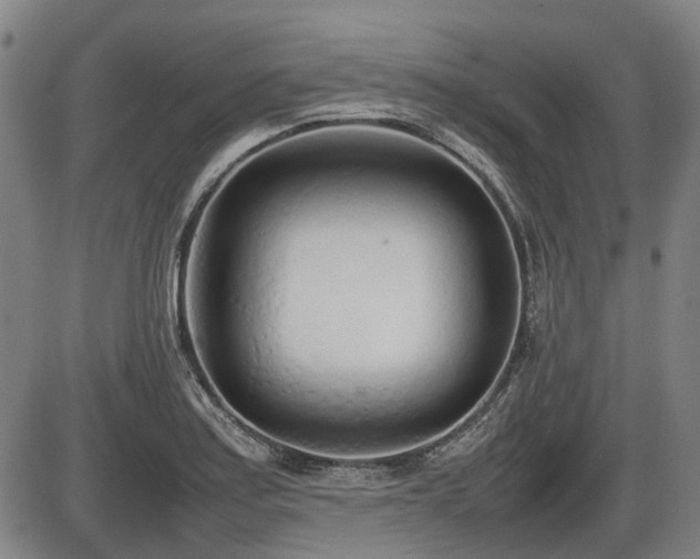 X0000086331179200703301222