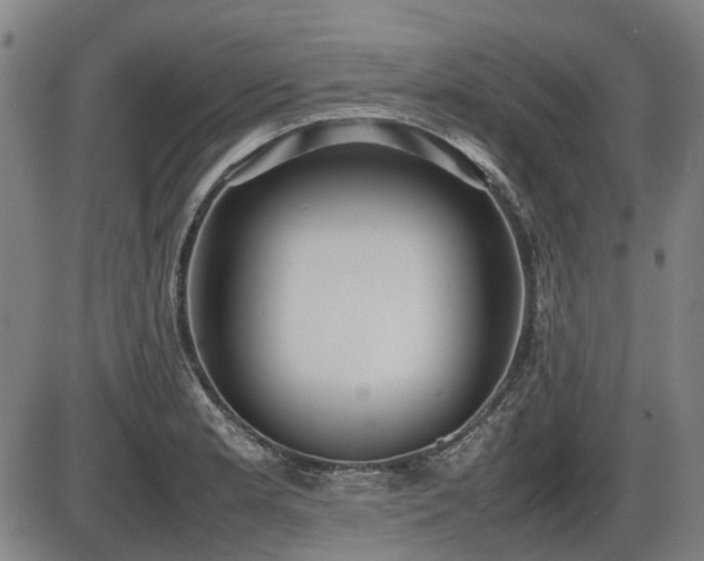 X0000086331181200703301222