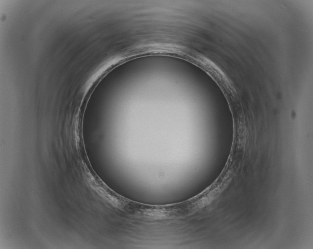 X0000086331182200703301222