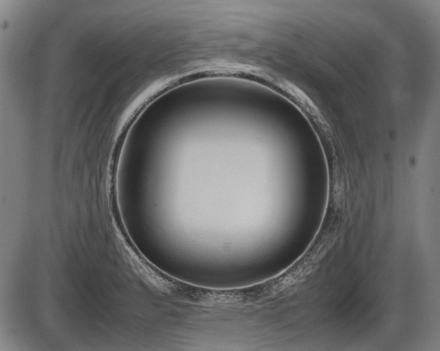 X0000086331183200703301222