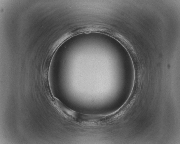 X0000086331185200703301222