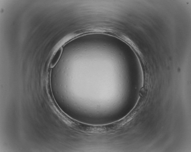 X0000086331187200703301222