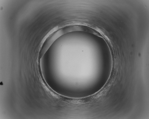 X0000086331189200703301222