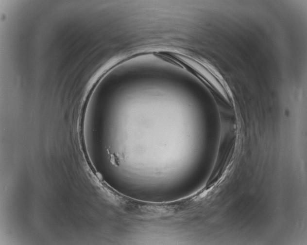 X0000086331197200703301222