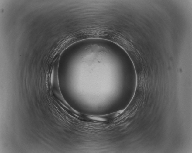 X0000086331202200703301221