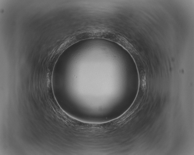 X0000086331204200703301221