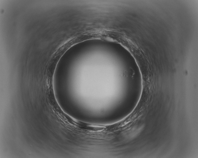 X0000086331206200703301221
