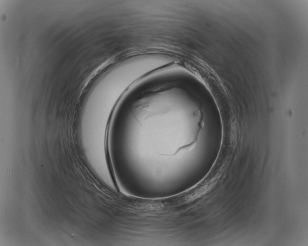 X0000086331210200703301221