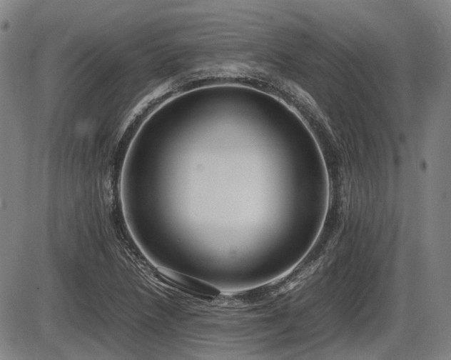 X0000086331218200703301221