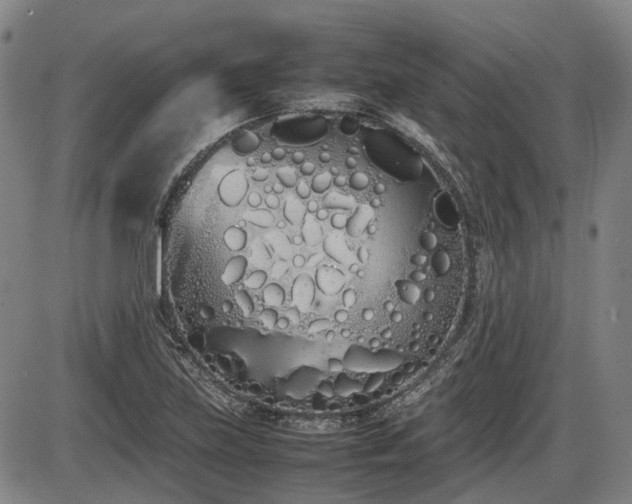 X0000086331219200703301221