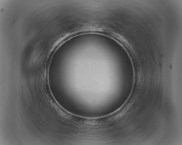 X0000086331220200703301221