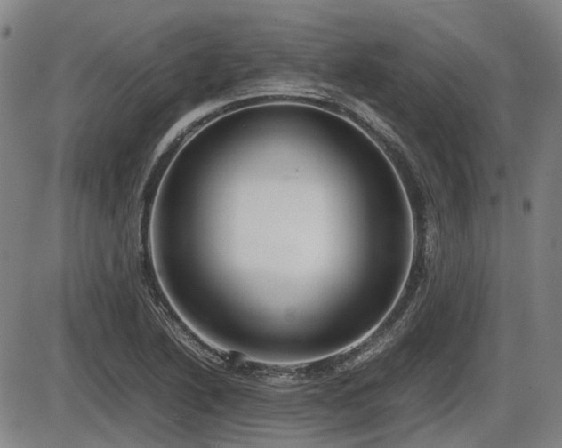 X0000086331222200703301221