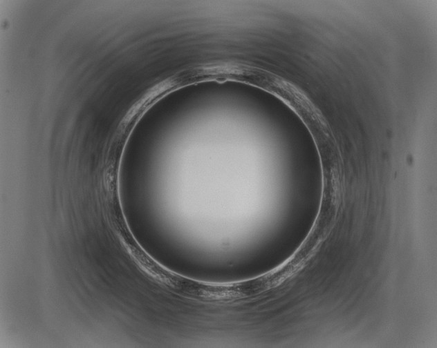 X0000086331225200703301221