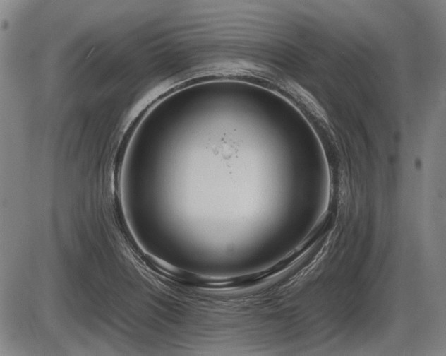 X0000086331226200703301221