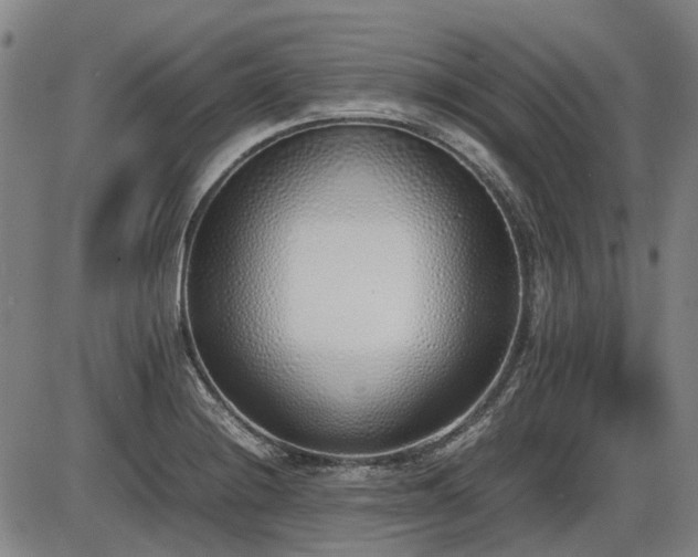 X0000086331228200703301221