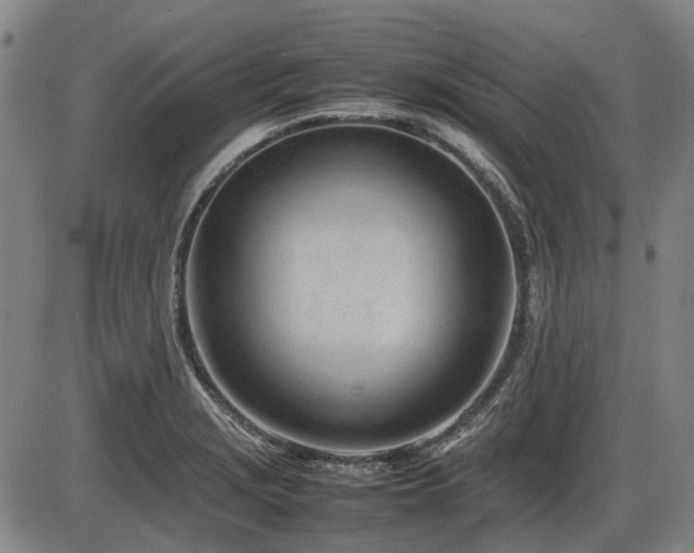 X0000086331229200703301221