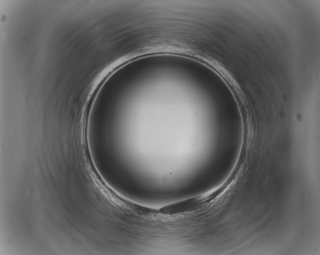 X0000086331246200703301222