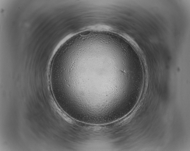 X0000086331248200703301222